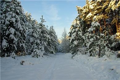 B社《星空》新补丁上线 但更新内容却让人震惊